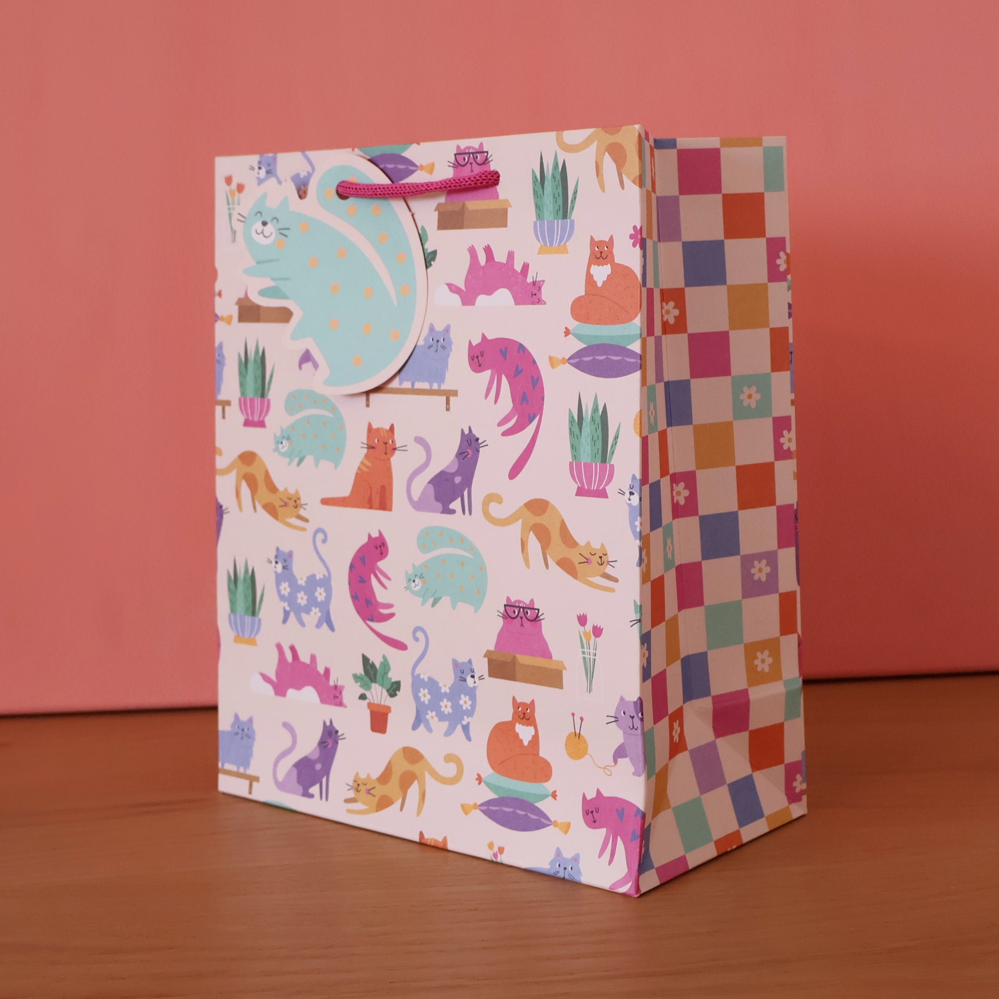 Colourful Cats Gift Bag
