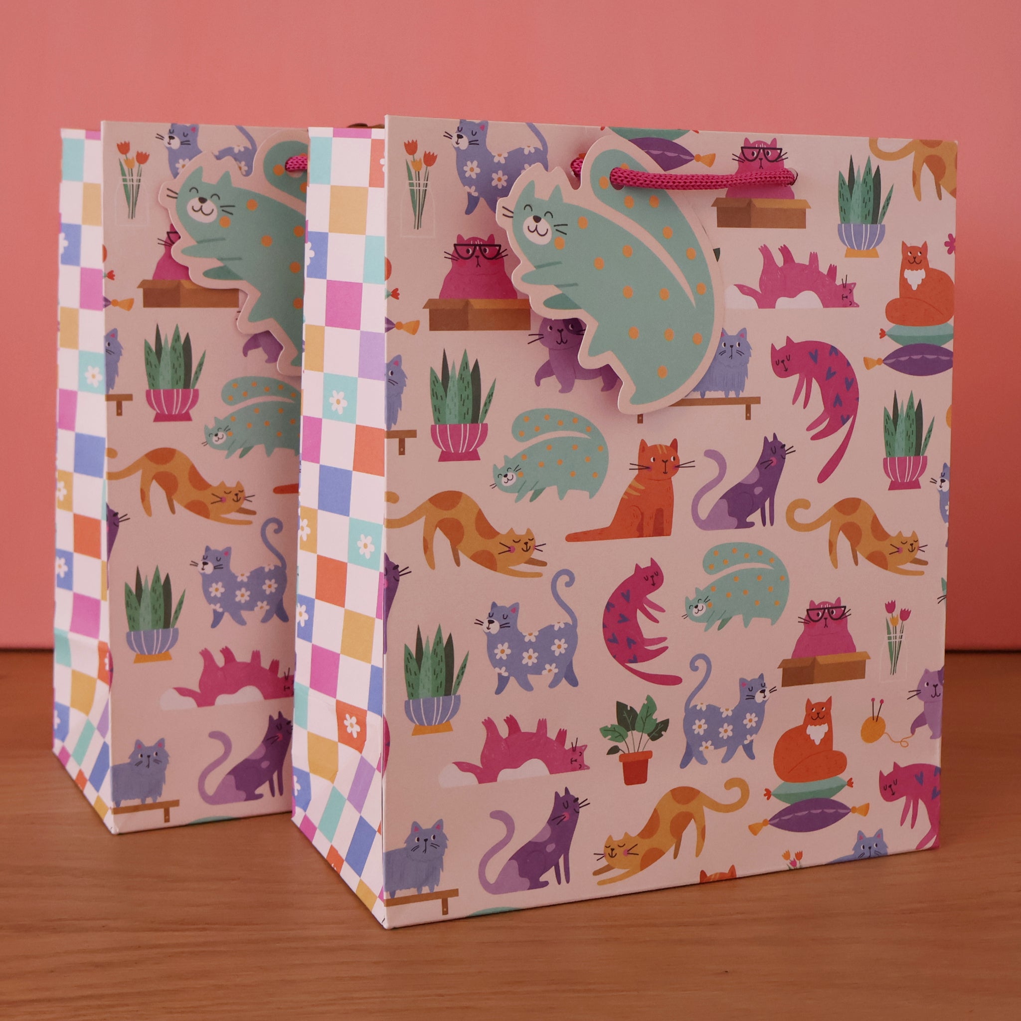 Colourful Cats Gift Bag