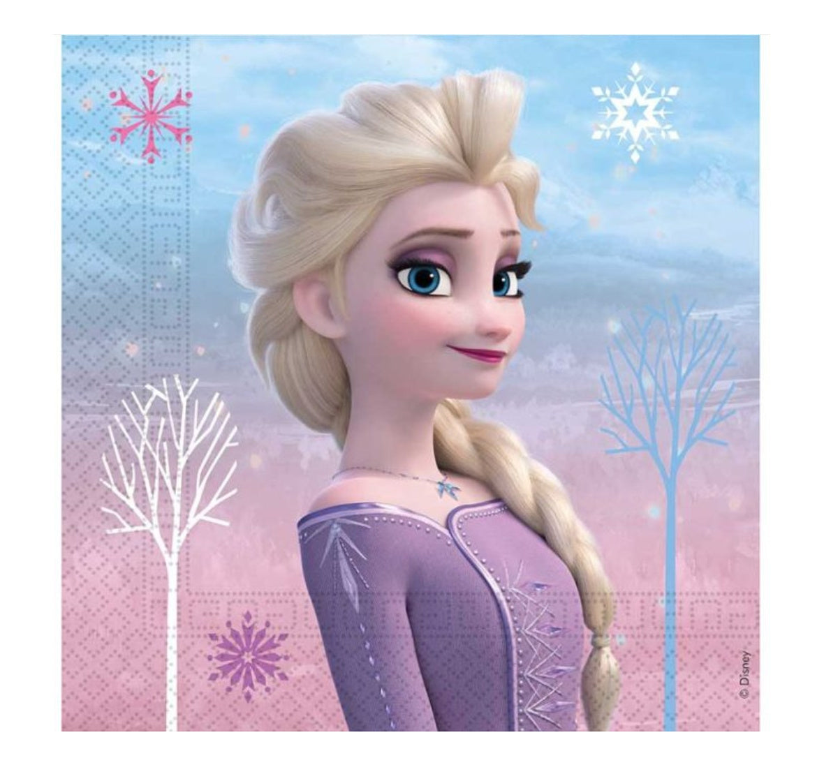 Disney Frozen 2 Elsa Party Paper Napkins x 20
