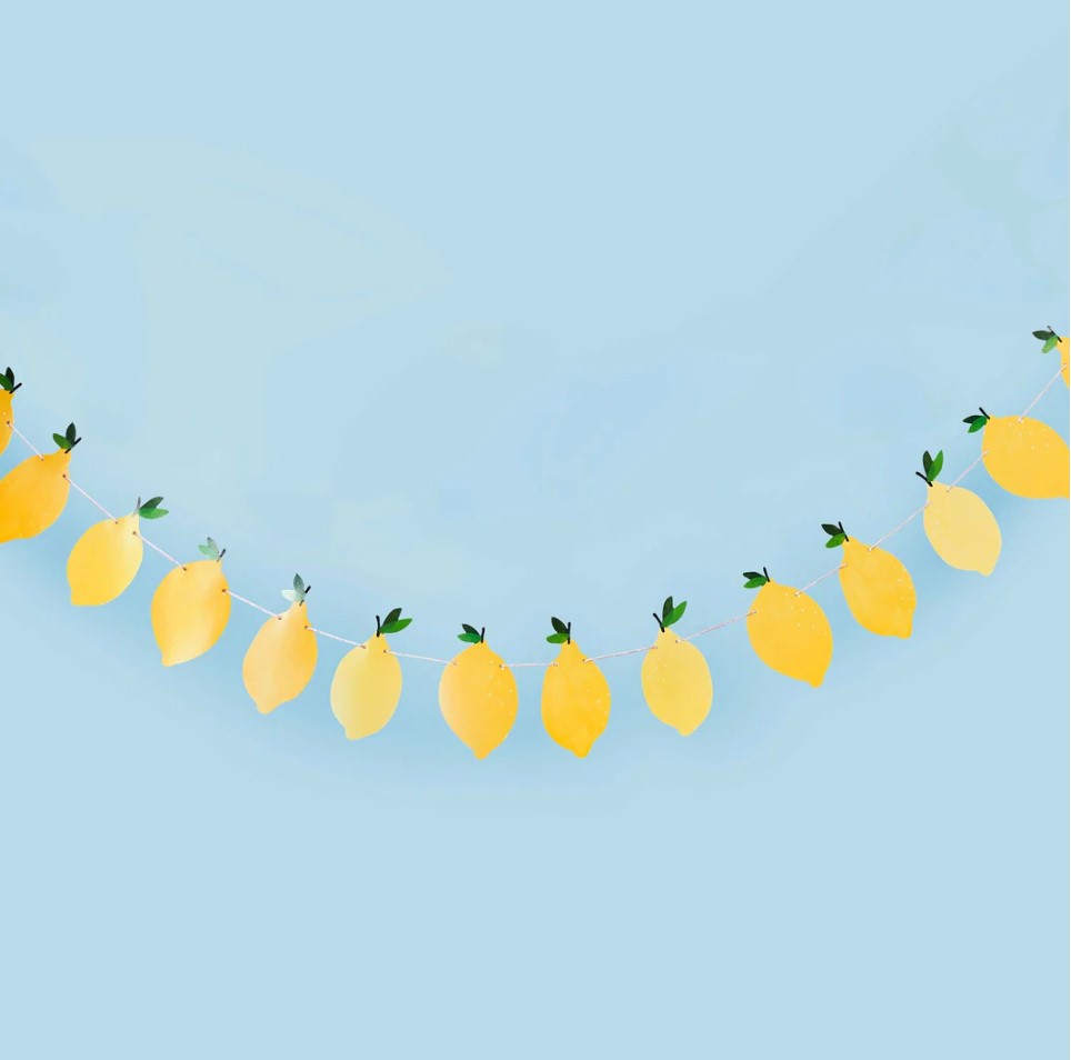 Lemon Party Bunting 2.5 Metres