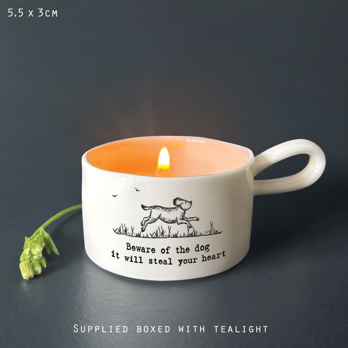 East of India Handled Tealight Holder 'Beware of the dog, it will steal your heart'