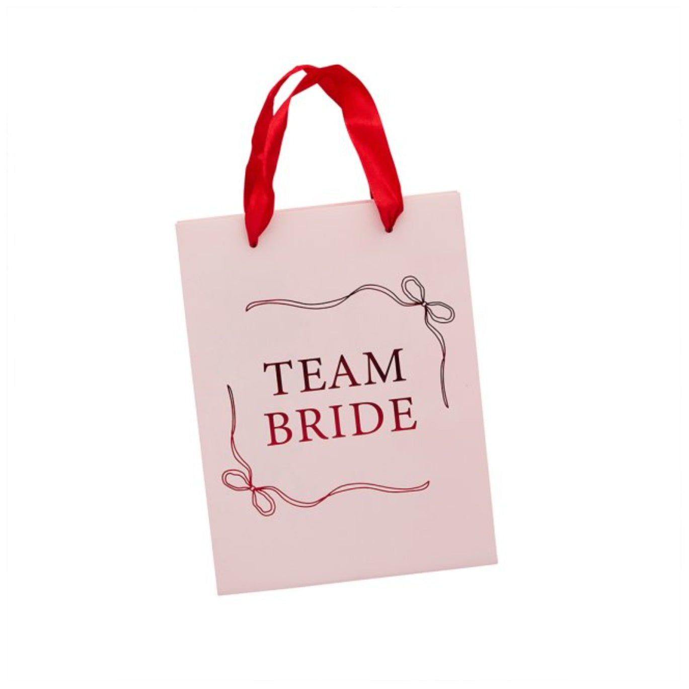 Team Bride Hen Party Bags x 5