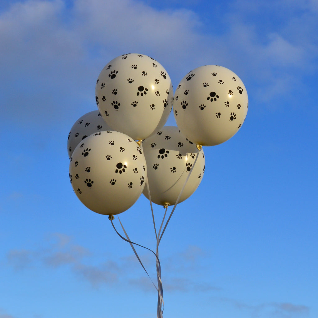 Balloon Bundles & Arches