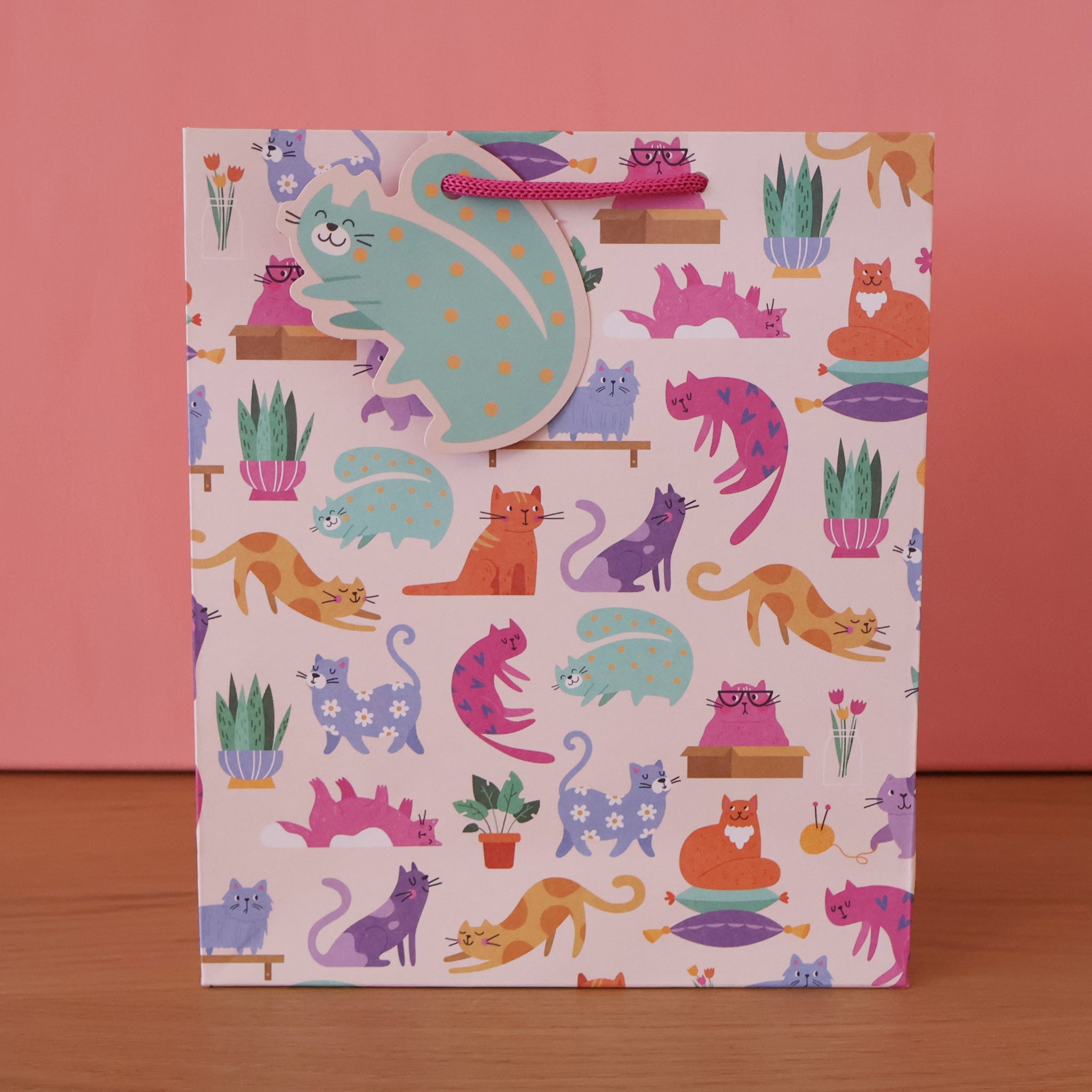 Colourful Cats Gift Bag