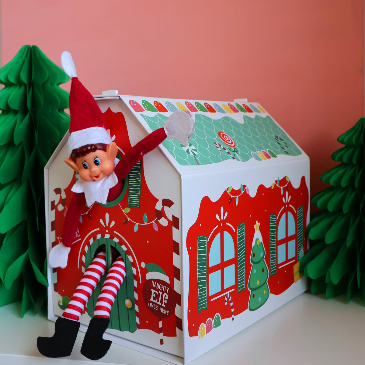 Elf Arrival House
