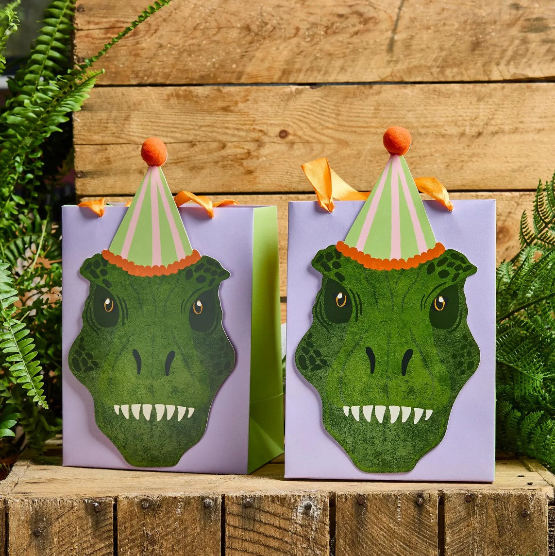Dinosaur Party Bags x 5