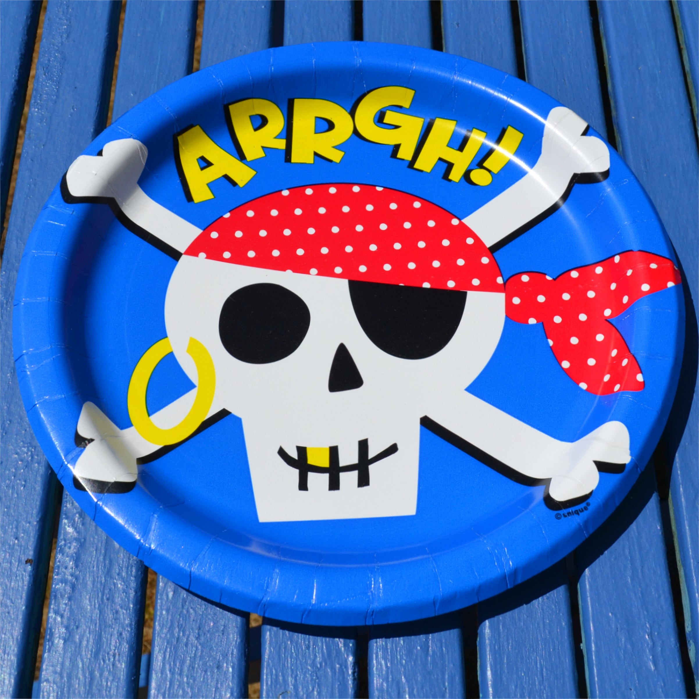 Ahoy Pirate Party Plates (x8)