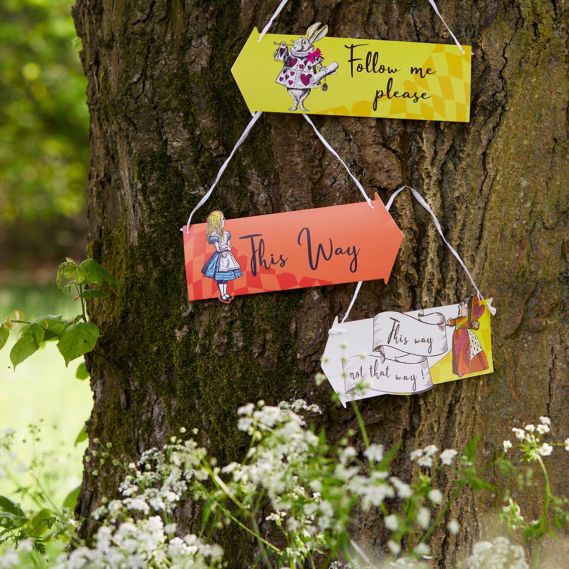 Alice in Wonderland Hanging Card Signs x 12