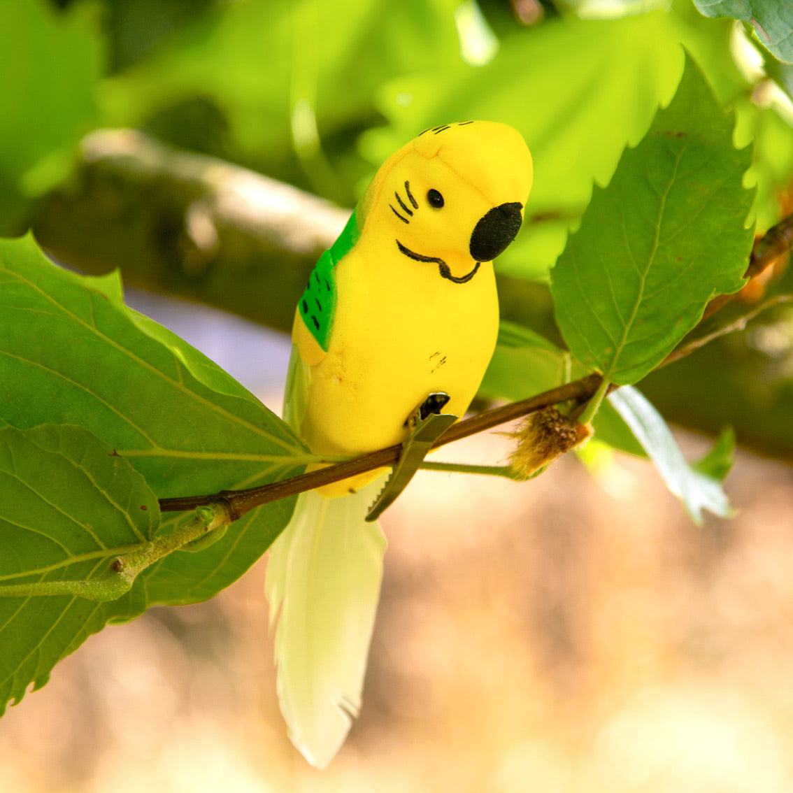 Tropical Birds Party Decorations x 6